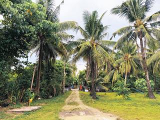 Grey Pad - Beachfront Property - 8