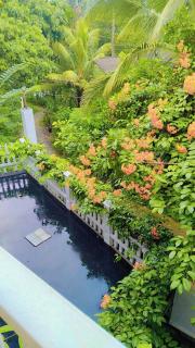 shalom villa - Gettapola - 9