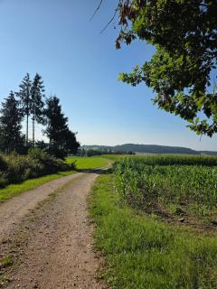 Gemütliche Ferienwohnung - Albbruck - 2
