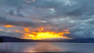 Beach Getaway - Blessington Villa - South Arm - 6