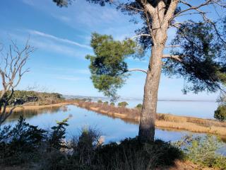 Chez Eugénia & Frédéric - 4