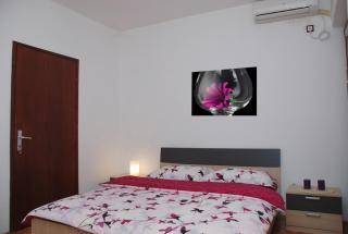 Apartments Svorcan - 6