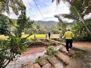 Lilies holiday inn - 9