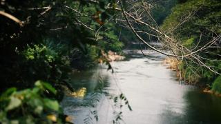 River Breeze Villa - 2