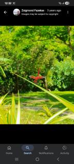 The Heritage Resort - Sigiriya - 8