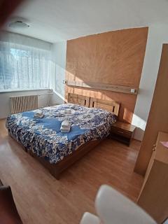 Hotel FLÓRA retro - 4