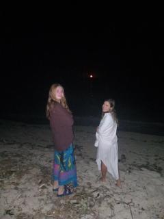 Nenas Homestay - - 4