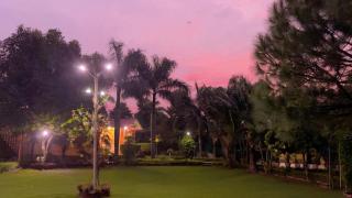 Amritvan Farms - 6