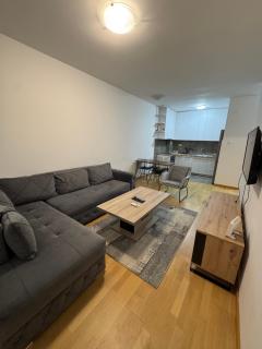 Apartment 45m2 Podgorica - 8