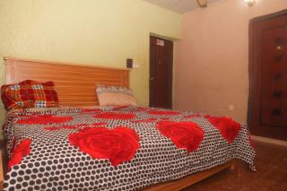 Matmonic Guesthouse Nyanya - Ado - 3