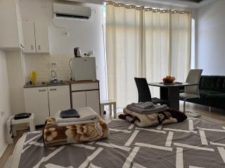 RS Apartmani - Belgrade - 8