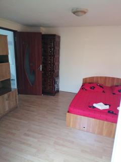 CASA IZA - Băile Herculane - 8