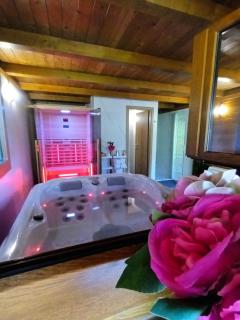 Vila Carmen kuća za odmor sa wellnessom,Sunger - 7