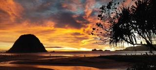 Pandan Arum Surf Camp - - 2