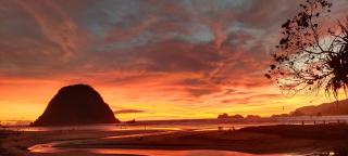 Pandan Arum Surf Camp - - 1