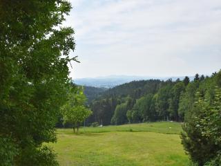 Holiday home with panoramic view and every convenience - spa - Waldkirchen - 7
