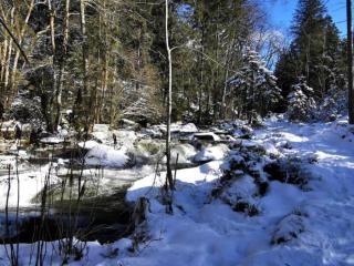 Holiday home with panoramic view and every convenience - spa - Waldkirchen - 5