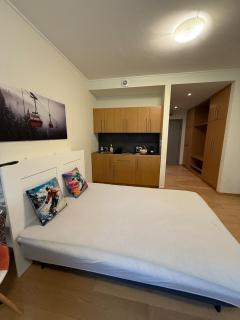 Studio 4 pax in Euphoria Club - Borovets - 6