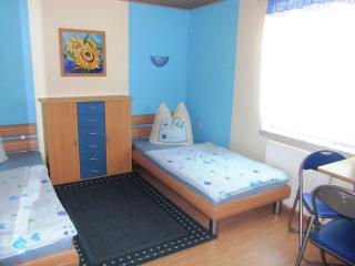 Roomy Apartment in Lichtenhain with Pond - 8