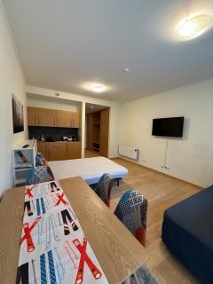Studio 4 pax in Euphoria Club - Borovets - 3