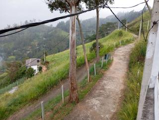 Wintry Higths - Nuwara Eliya - 7