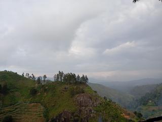 Wintry Higths - Nuwara Eliya - 3