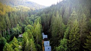 Ruheort mitten im Wald - 8