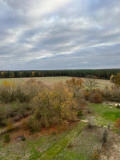 Tour du Bignon 30 beds 2 cottages 15 - Lorris - 3