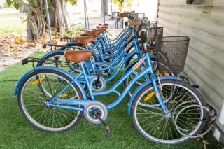 Kibbutz Kfar Masaryk Country Lodging - 7