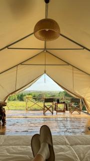 Veilscape Mara Camp - Masai Mara - 3