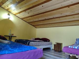 Hostel Horgos Centar - Horgoš - 1