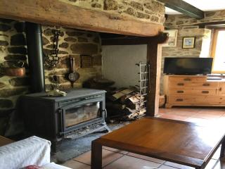 Peaceful Countryside Home - Auriac - 1