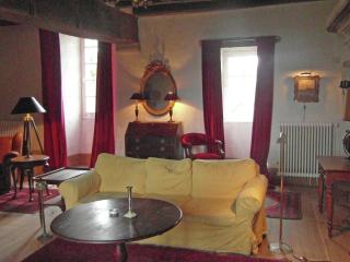 Castle in Le Veurdre near Forest and River - 9
