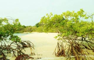 NANTIRIA Angurman - 4