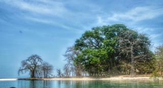 NANTIRIA Angurman - 2