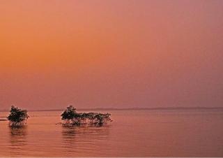 NANTIRIA Angurman - 1