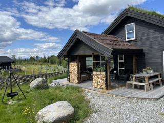 New and cozy family cabin on Golsfjellet - 9