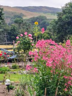 Pentre ISAF - Conwy - 9