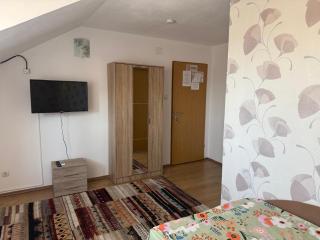 Pensiunea Vladut Timisoara - 1