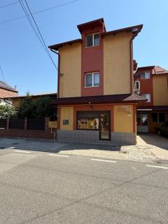 Pensiunea Vladut Timisoara - 9