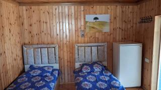 Boutique house in local family garden - Nachitschewan - 6