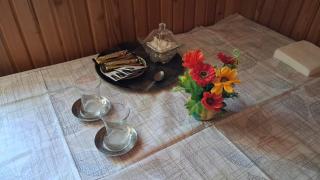 Boutique house in local family garden - Nachitschewan - 0