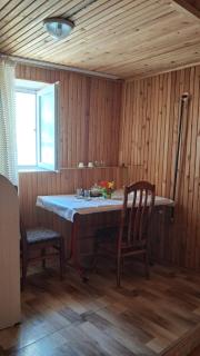 Boutique house in local family garden - Nachitschewan - 1
