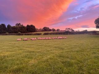 Roseberry View Barn, Northallerton - Northallerton - 1
