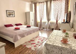 Prague Old Town Apartment Benediktska 6 - 0