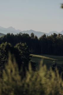 sona Suites Allgäu - Sauna, Whirlpool & Alpenblick - Wiggensbach - 5