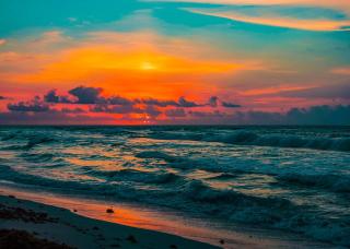 Boutique King & 2 Bed Suites, ADO 2 Min, Beach & 5th Ave 3 Min, Cenotes 20 Min, Kitchen, AC - 3