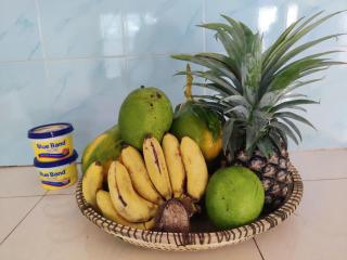 Nungwi Sannnka House - 4