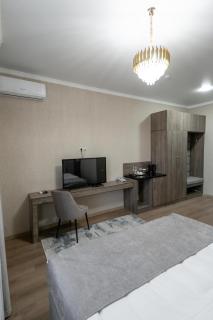 Siluet Plaza Hotel - Shymkent - 1