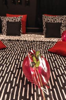 Love room - L'escapade du désir - 9